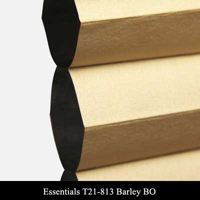 Essentials T21-813 Barley BO