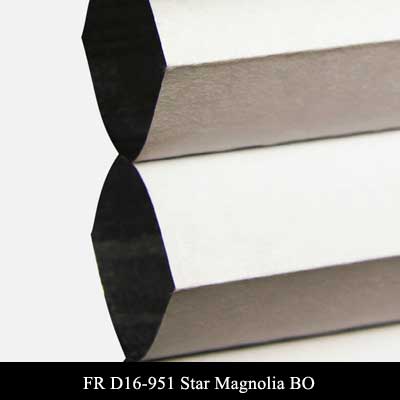 FR D16-951 Star Magnolia BO
