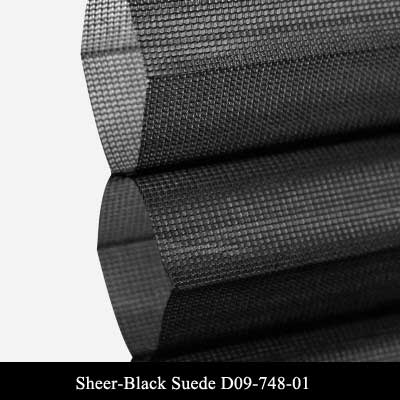 Sheer-Black Suede-D09 748-01