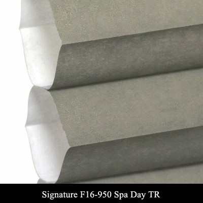 Signature F16-950 Spa Day TR