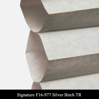 Signature F16-977 Silver Birch TR