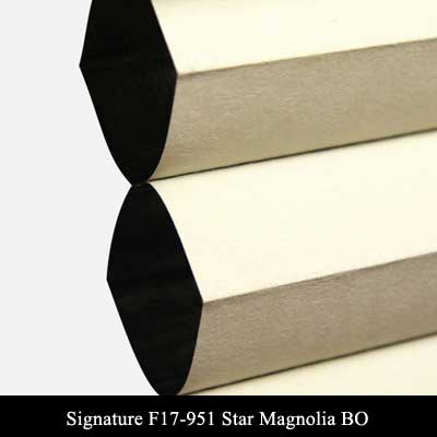 Signature F17-951 Star Magnolia BO
