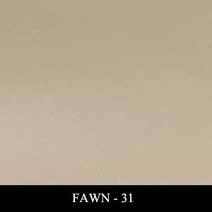 FAWN - 31