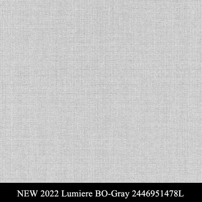 NEW 2022 Lumiere-BO Gray 2446951478L