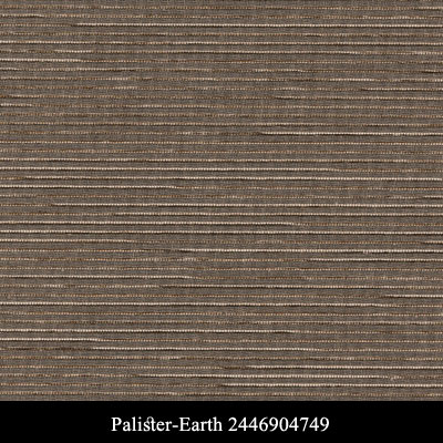 Palister-Earth 2446904749