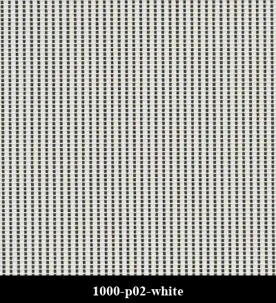 1000-p02-white