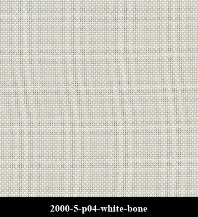 2000-5-p04-white-bone