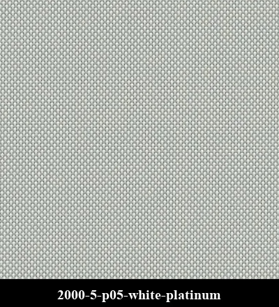 2000-5-p05-white-platinum