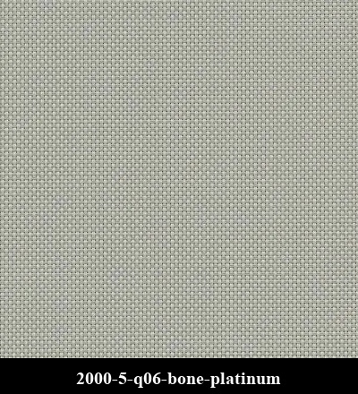 2000-5-q06-bone-platinum