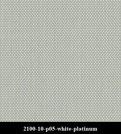 2100-10-p05-white-platinum