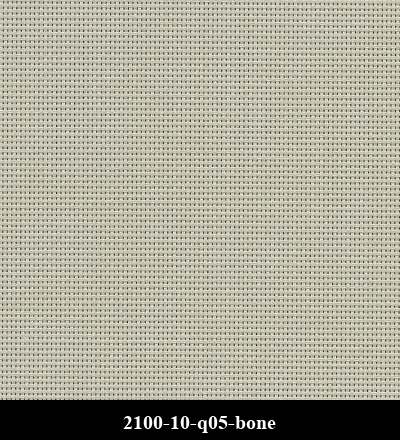 2100-10-q05-bone