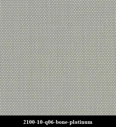 2100-10-q06-bone-platinum