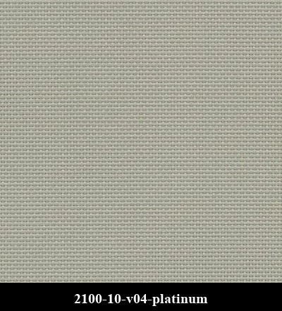 2100-10-v04-platinum