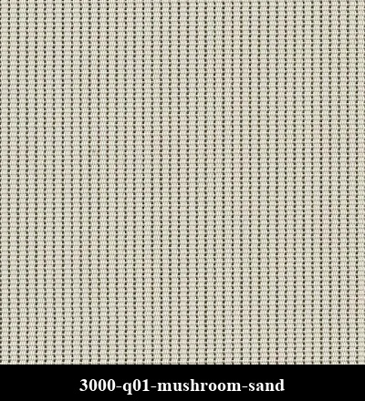3000-q01-mushroom-sand