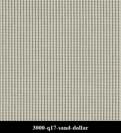 3000-q17-sand-dollar